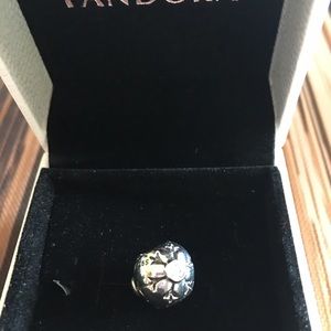 Pandora charm